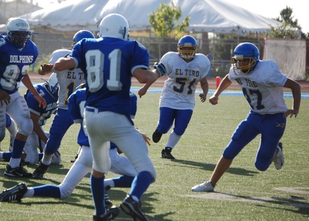 Enlarge photo 44