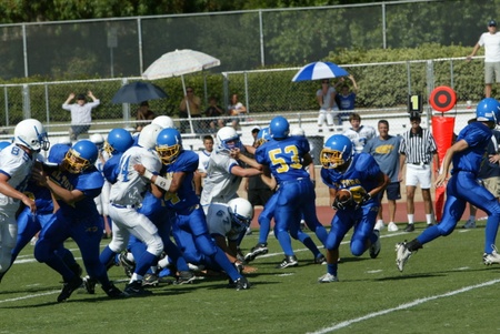 Enlarge photo 15