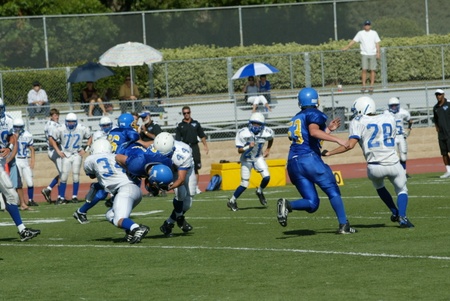 Enlarge photo 23