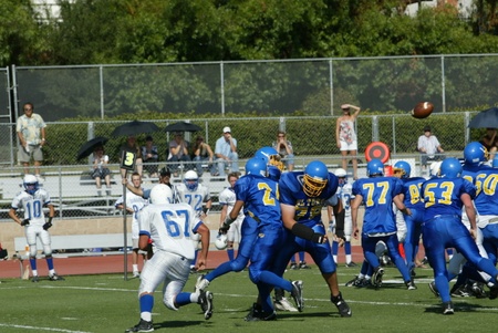 Enlarge photo 24