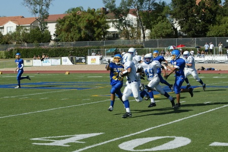 Enlarge photo 41