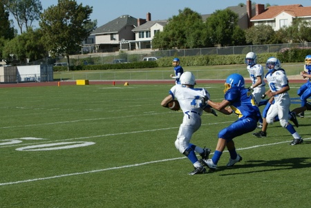 Enlarge photo 42