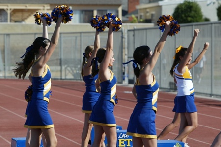 Enlarge photo 43