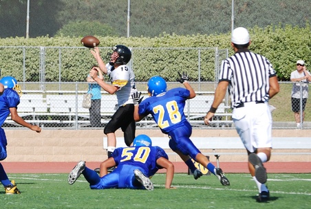 Enlarge photo 13