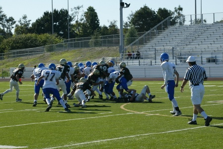 Enlarge photo 24