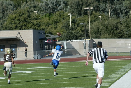 Enlarge photo 43