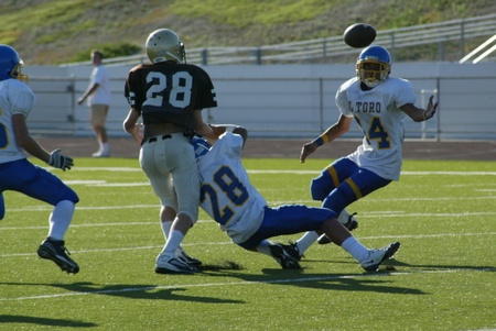 Enlarge photo 44