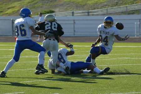 Enlarge photo 45