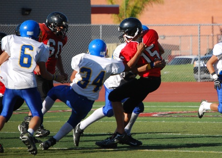 Enlarge photo 28