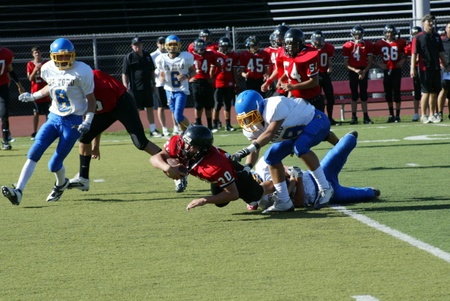 Enlarge photo 12