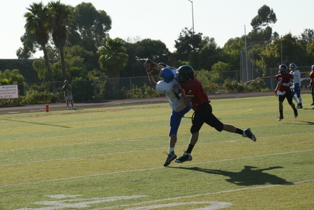 Enlarge photo 38