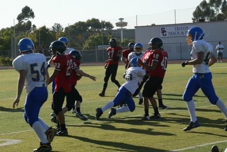 Enlarge photo 40