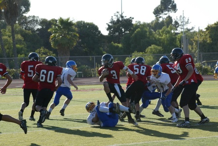 Enlarge photo 41