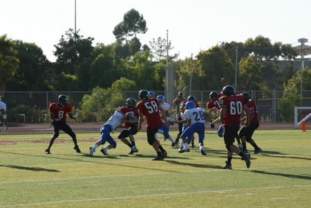 Enlarge photo 42