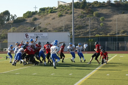 Enlarge photo 44