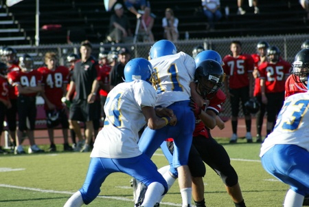 Enlarge photo 45