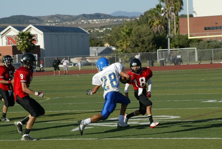 Enlarge photo 48