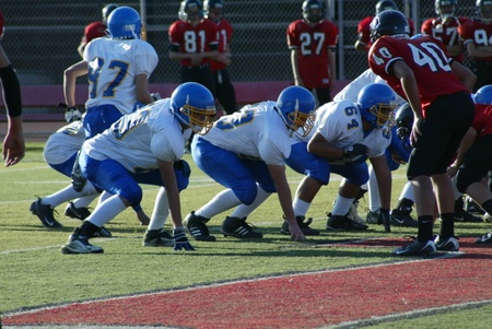 Enlarge photo 49