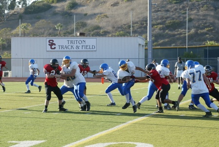 Enlarge photo 51