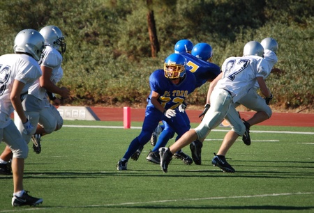 Enlarge photo 19