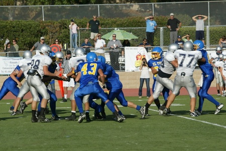 Enlarge photo 37