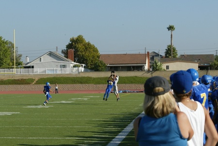 Enlarge photo 41