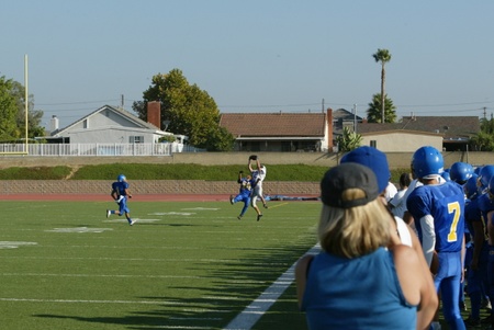 Enlarge photo 42