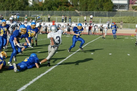 Enlarge photo 45