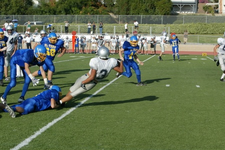 Enlarge photo 46