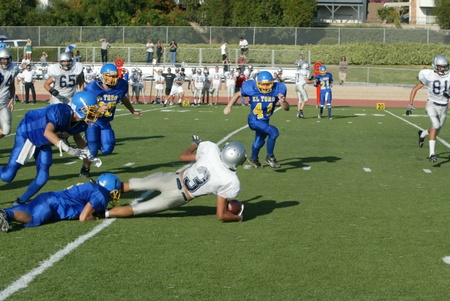 Enlarge photo 47