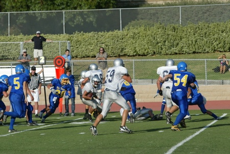 Enlarge photo 51