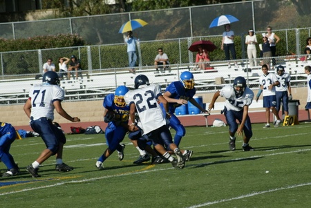 Enlarge photo 19