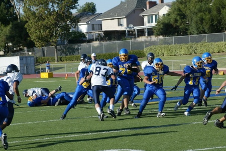 Enlarge photo 37