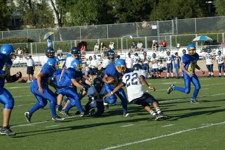 Enlarge photo 40