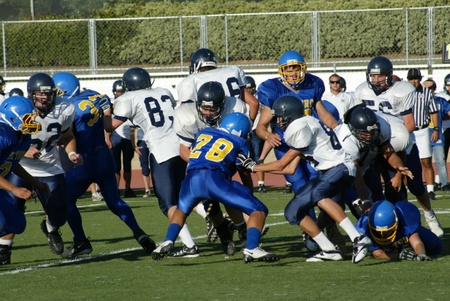 Enlarge photo 45