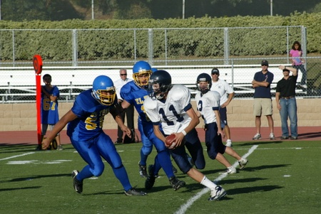 Enlarge photo 49