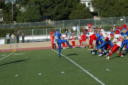 Enlarge photo 11