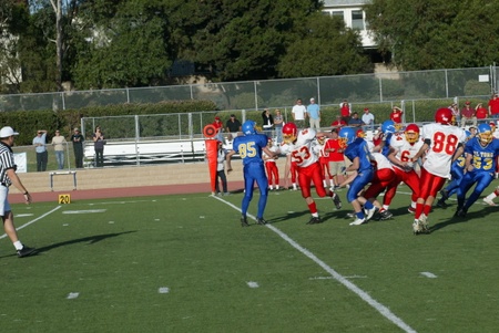 Enlarge photo 13