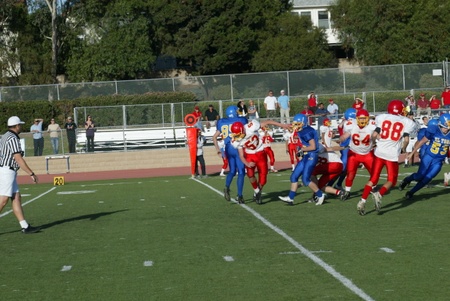 Enlarge photo 14