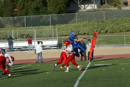 Enlarge photo 26
