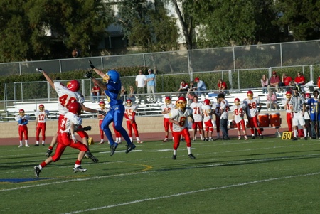 Enlarge photo 27