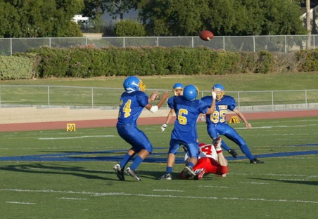 Enlarge photo 37
