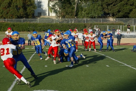Enlarge photo 43