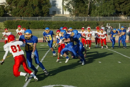 Enlarge photo 44