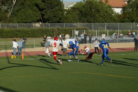 Enlarge photo 45