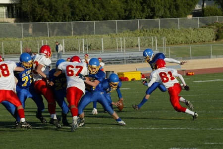 Enlarge photo 46