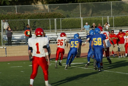 Enlarge photo 47