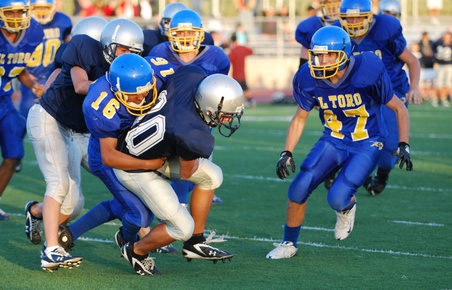 Enlarge photo 51