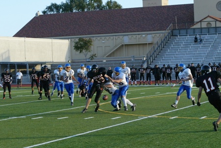 Enlarge photo 29