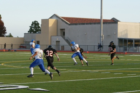 Enlarge photo 35